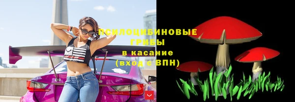 apvp Абаза