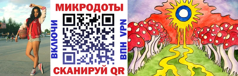закладка  Россошь  Галлюциногенные грибы Cubensis 