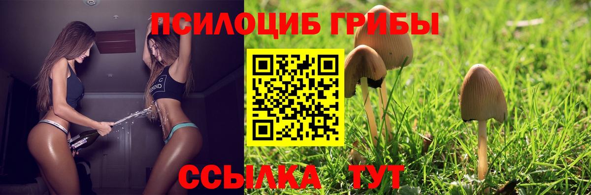 Россошь  Галлюциногенные грибы Magic Shrooms  Псилоцибиновые грибы мицелий  Вход с VPN 