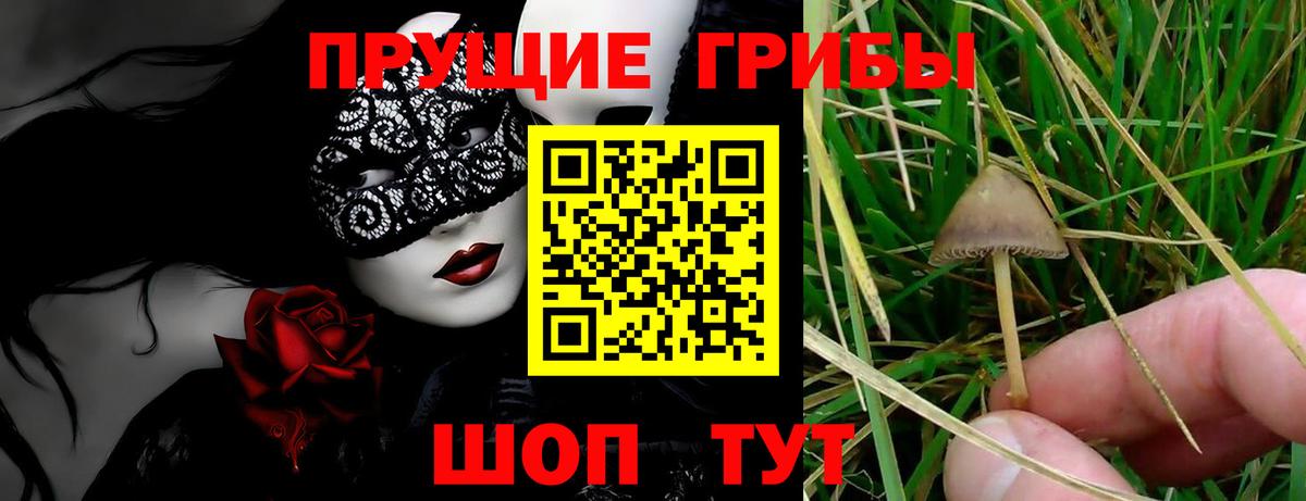Псилоцибиновые грибы Magic Shrooms Россошь
