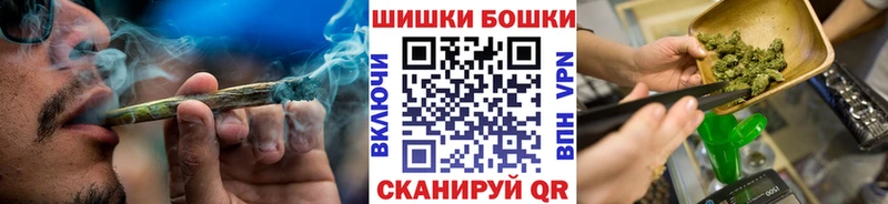 Канабис сатива Россошь